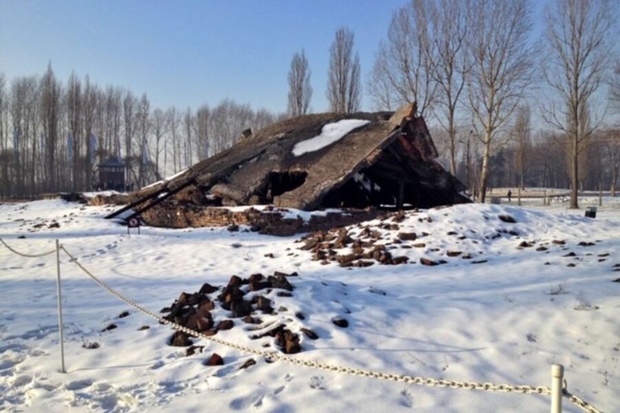 From Krakow: Auschwitz-Birkenau Private or Shared Tour - Language, accessibility, and booking details