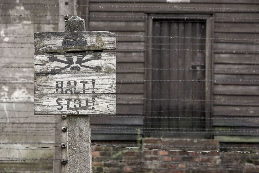From Krakow: Auschwitz-Birkenau & Schindler's Factory Tour - Key points to know before booking
