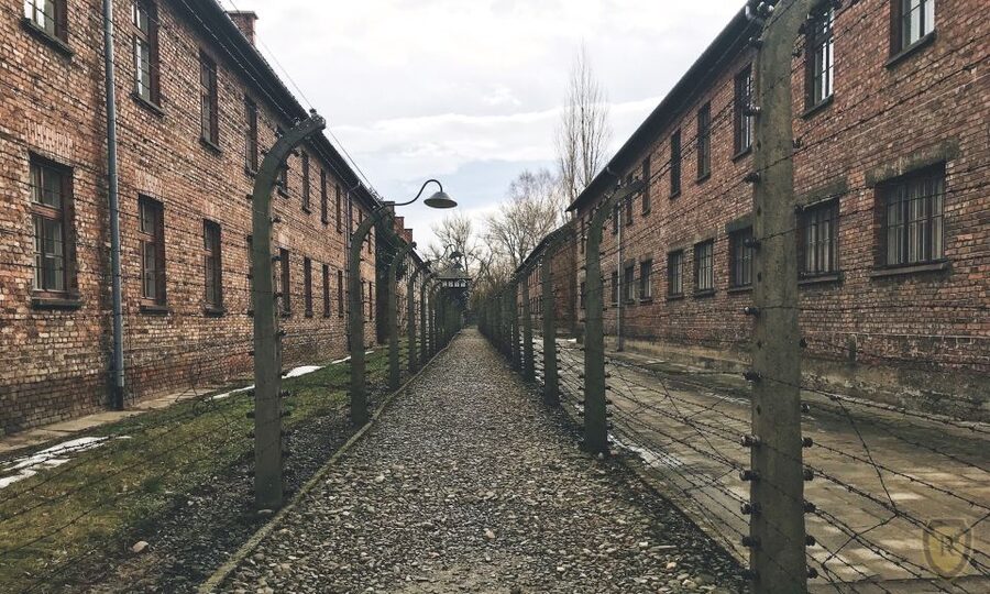 From Krakow: Auschwitz Birkenau Self-Guided Tour - Why this visit matters