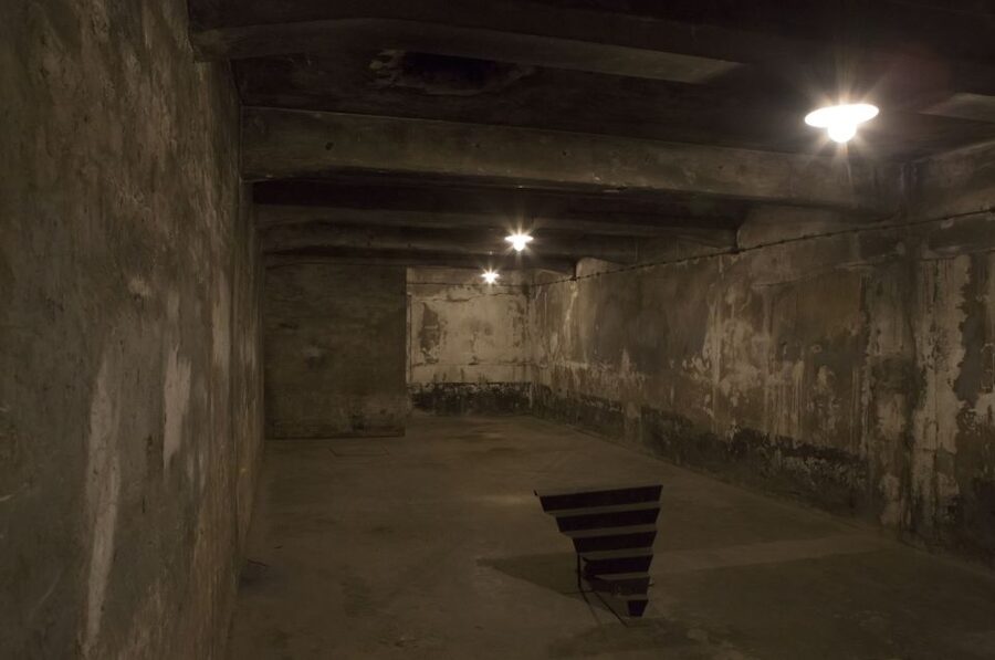 From Krakow: Auschwitz-Birkenau Tour - Why Auschwitz-Birkenau matters