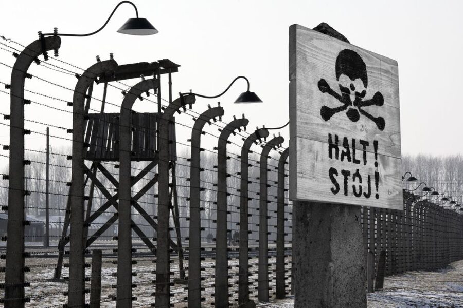 From Krakow: Auschwitz-Birkenau Tour - Should you book this Auschwitz-Birkenau tour?