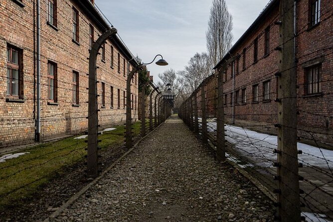 From Kraków: Auschwitz-Birkenau Tour with Lunch Box and Pick Up - Lunch box details and the midday pause
