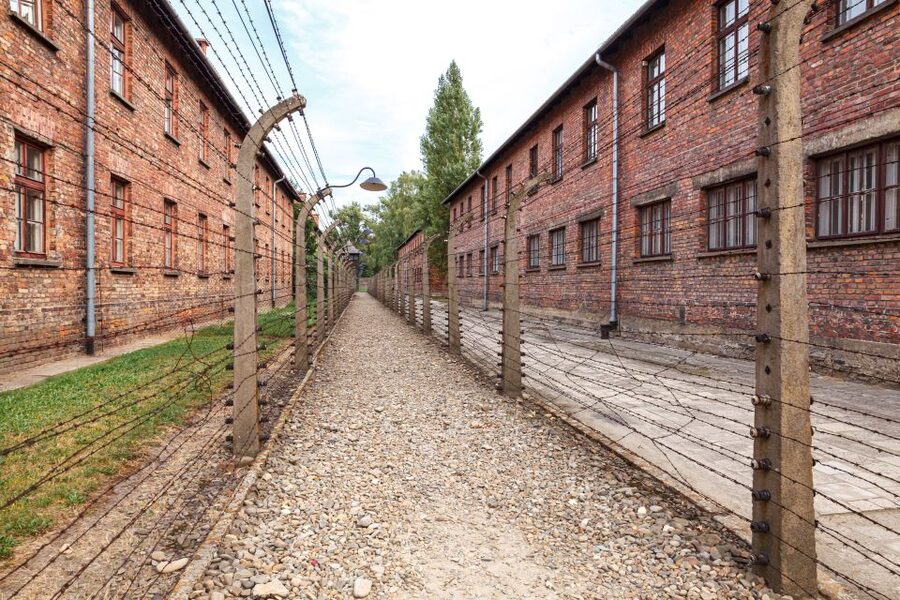 From Krakow: Auschwitz Birkenau Tour with Transfer - Why this Auschwitz-Birkenau trip matters