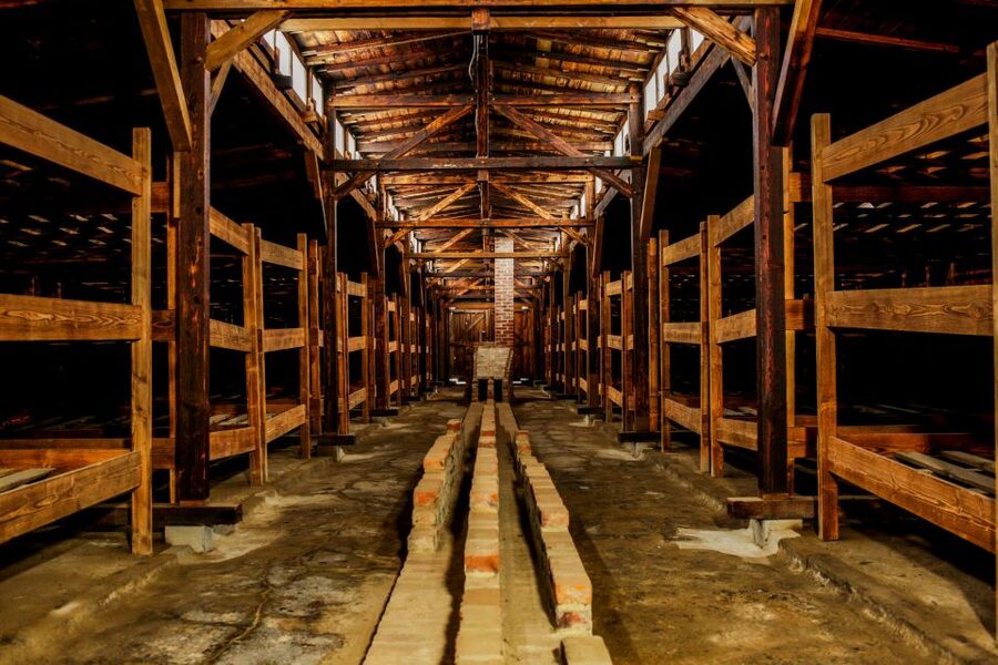 From Krakow: Auschwitz-Birkenau Tour with Transportation - Who should choose the independent option?
