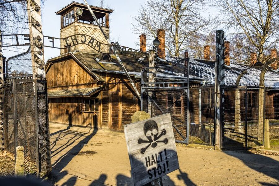 From Krakow: Auschwitz-Birkenau Tour with Transportation - Birkenau and the scale of the crime