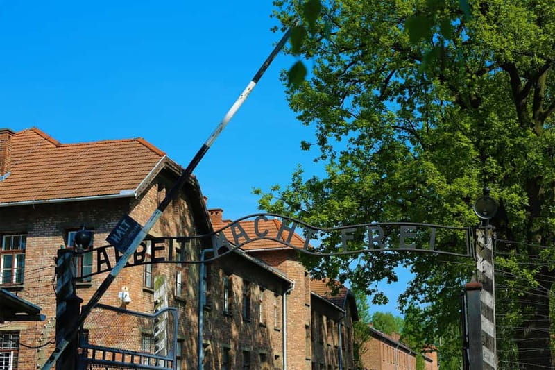 From Krakow: Auschwitz Museum and Wieliczka Salt Mine Tour - The 75-minute transfer changes the rhythm
