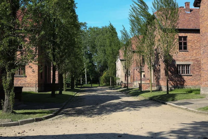 From Krakow: Auschwitz Museum and Wieliczka Salt Mine Tour - Should you book this Auschwitz and Wieliczka combination?