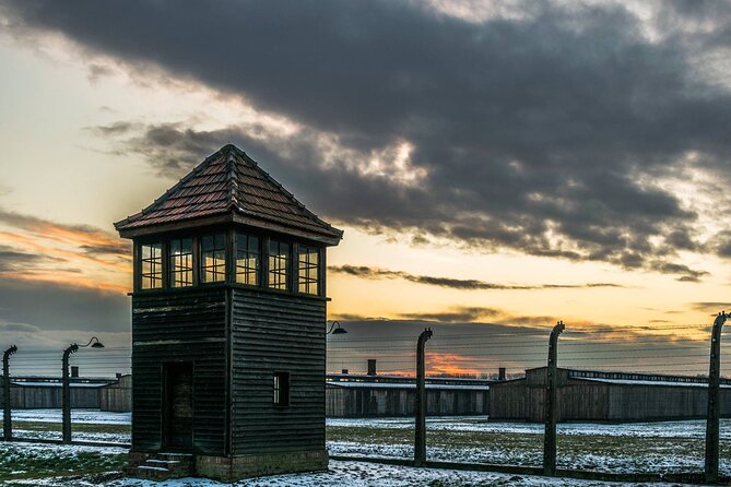 From Krakow: Auschwitz & Wieliczka Salt Mine Guided Tour - Value, organization, and the main risks