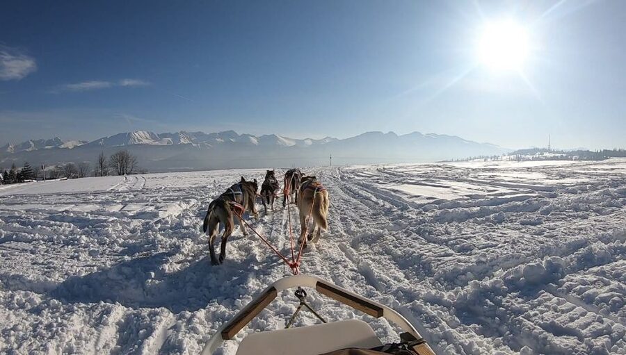 From Krakow: Dogsled Ride in Tatra Mountain - The people who shape the experience