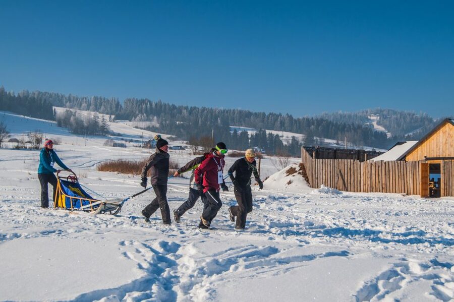 From Krakow: Dogsled Ride in Tatra Mountain - Who will enjoy this most