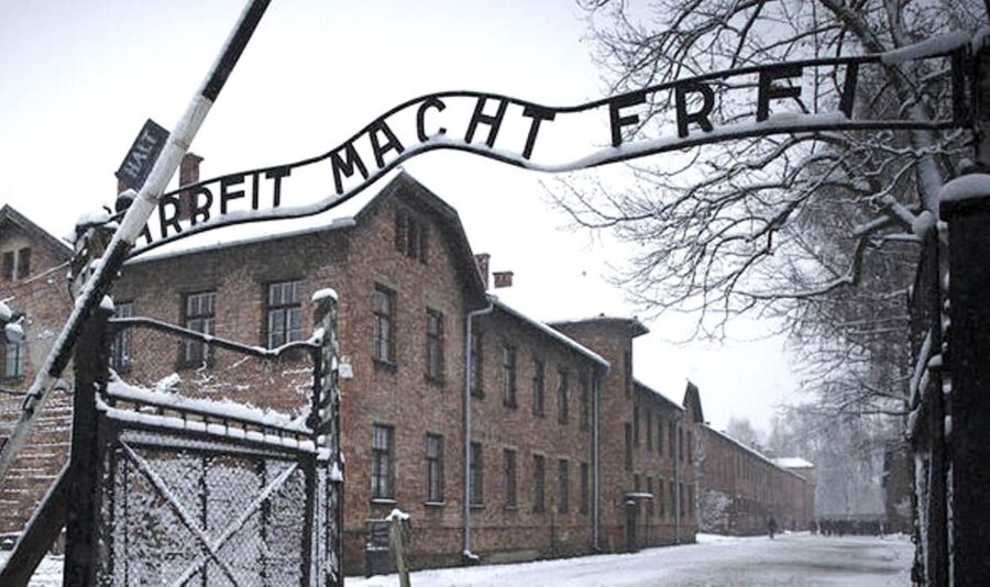 From Krakow: Guided Auschwitz-Birkenau Group Tour by Minivan - Who should book this minivan tour?