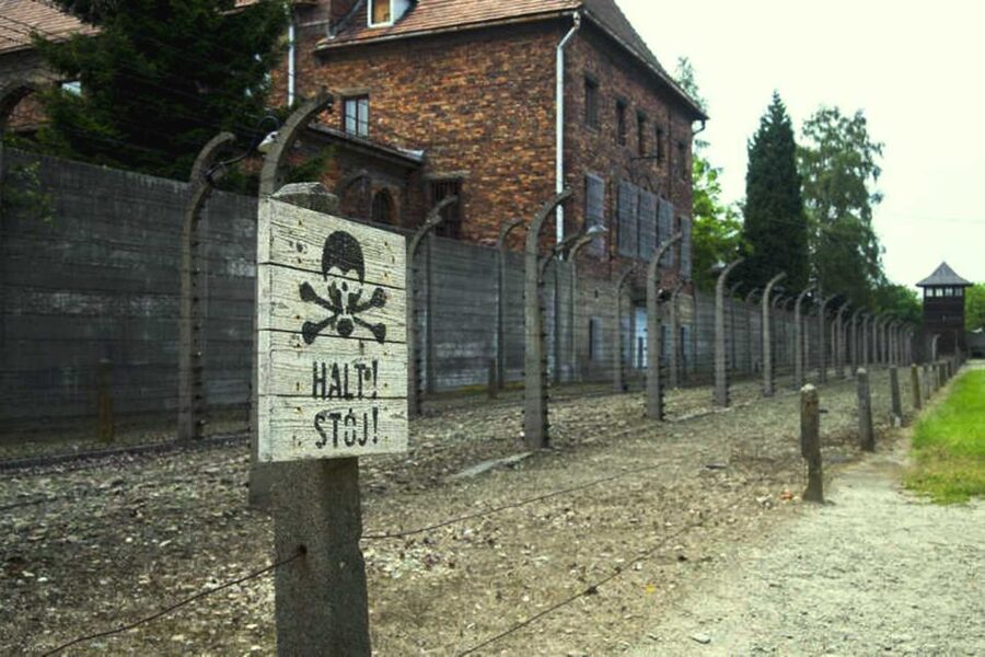 From Krakow: Guided Auschwitz-Birkenau Group Tour by Minivan - Why this visit matters