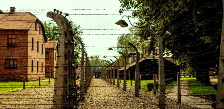 From Krakow: Guided Auschwitz-Birkenau Group Tour by Minivan - Auschwitz I: the first hour and a half