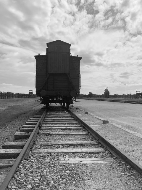 From Krakow: Guided Auschwitz-Birkenau Group Tour by Minivan - Birkenau: larger scale, fewer intact buildings