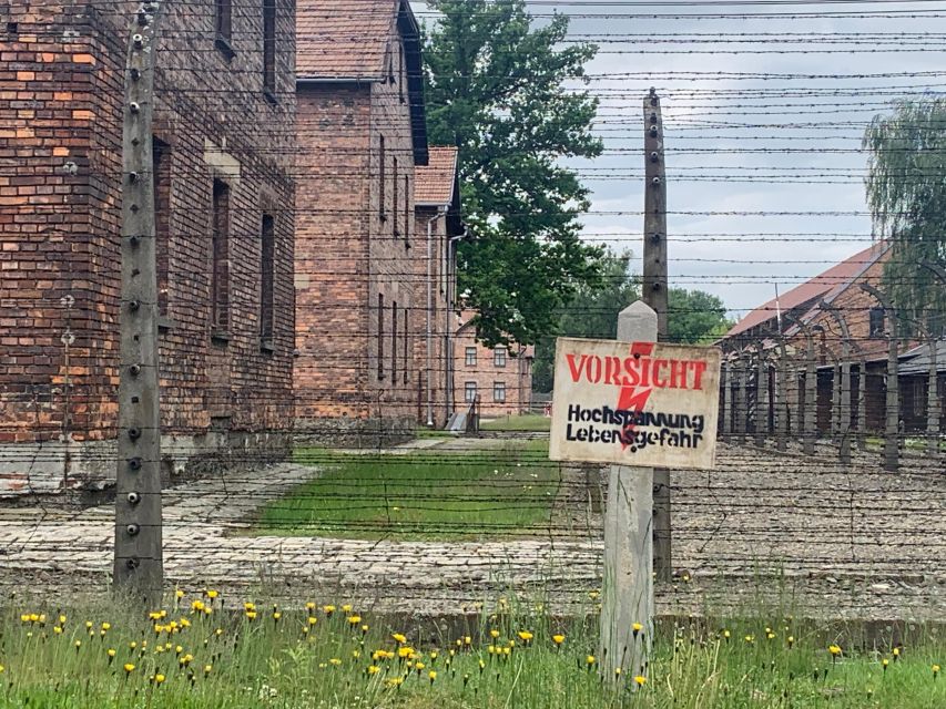 From Krakow: Guided Auschwitz-Birkenau Group Tour by Minivan - The museum guide and group size
