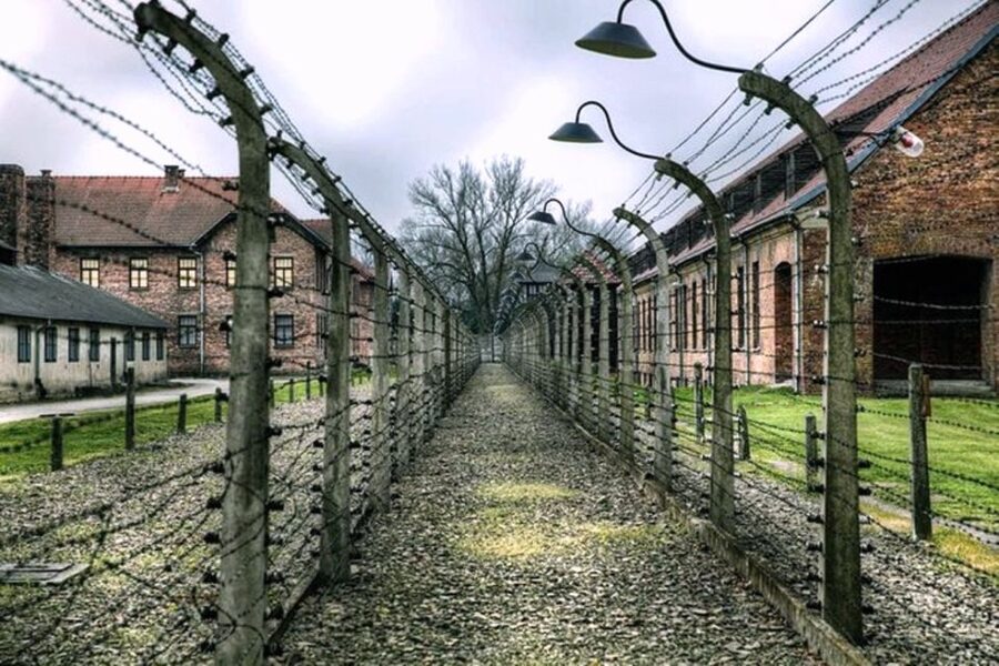 From Krakow: Guided Auschwitz-Birkenau Group Tour by Minivan - Pickup from central Krakow