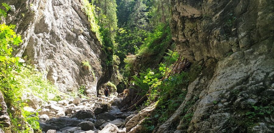 From Krakow: Hiking in the Tatra Mountains and Thermal baths - Walking Kościeliska Valley for about three hours