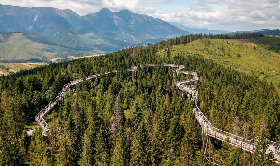 From Krakow: Morskie Oko and Slovakia Treetop Walk - Walking above the forest in Slovakia