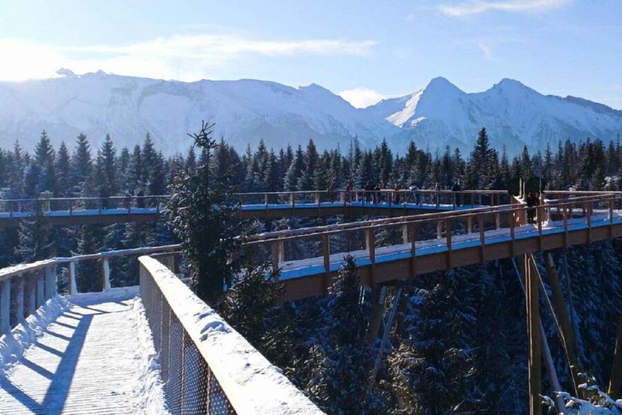 From Krakow: Morskie Oko and Slovakia Treetop Walk - Planning the lake walk wisely