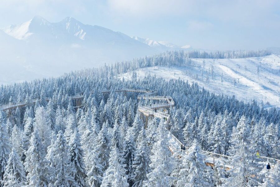 From Krakow: Morskie Oko and Slovakia Treetop Walk - What the $251 price really buys