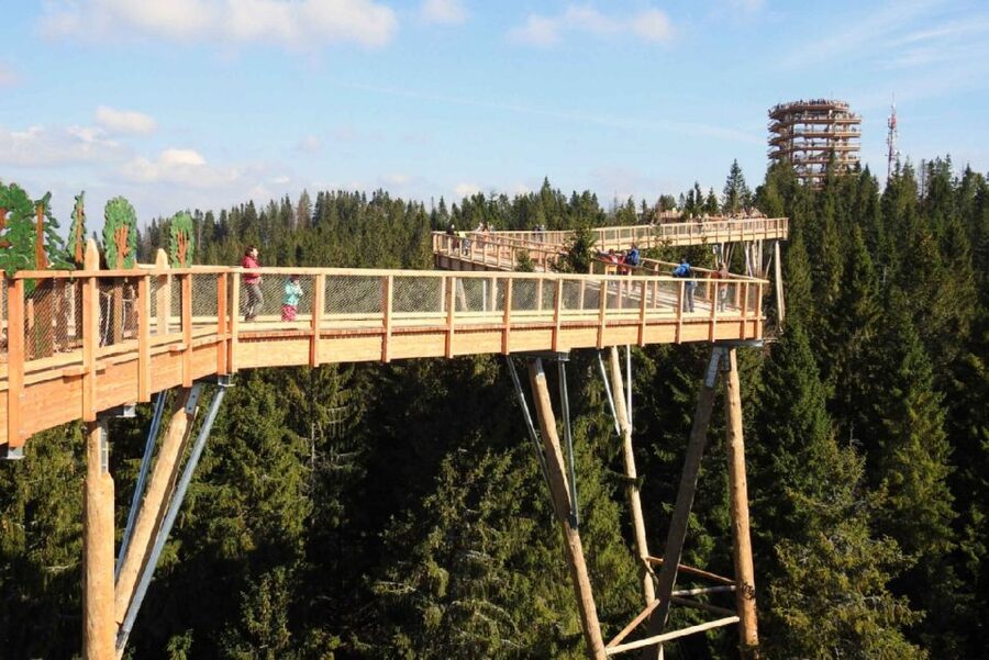From Krakow: Morskie Oko and Slovakia Treetop Walk - Driver service and the feel of the day