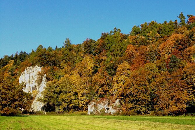 From Krakow: Ojcow National Park and Pieskowa Skala Castle - Ojców National Park and its strange limestone forms