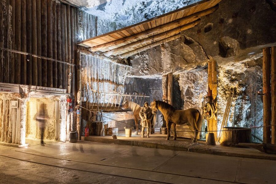 From Krakow: Private Wieliczka Salt Mine Tour - Key points to know before you book