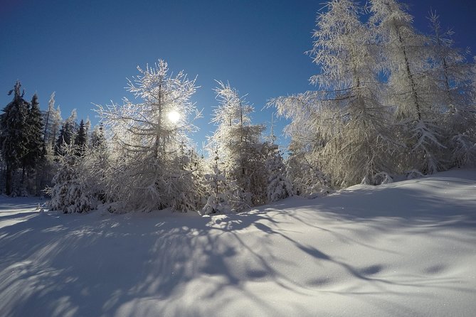 From Krakow: Siepraw Skiing for Beginners - How much value do you get?