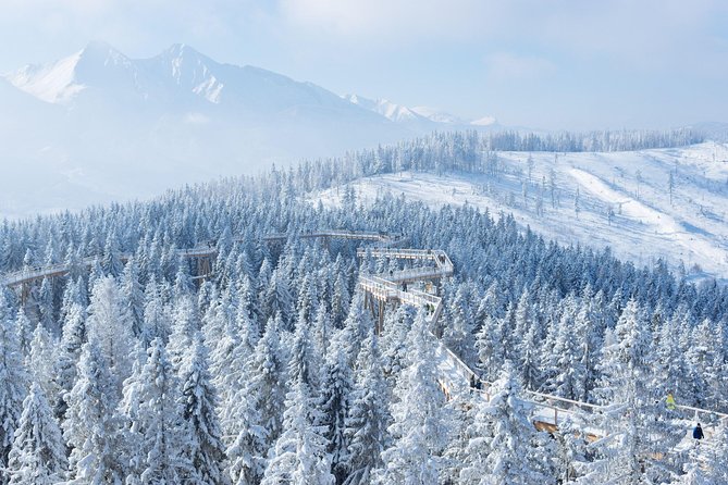 From Kraków: Slovakia Treetop Walk and Bachledka Ski - Reaching the Bachledka treetop walk
