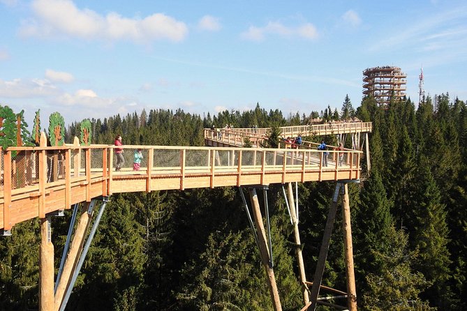 From Kraków: Slovakia Treetop Walk Bachledka and Zakopane - Reaching Bachledka from Kraków