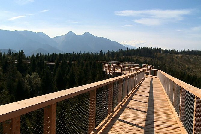 From Kraków: Slovakia Treetop Walk Bachledka and Zakopane - The 600-meter route and its optional obstacles