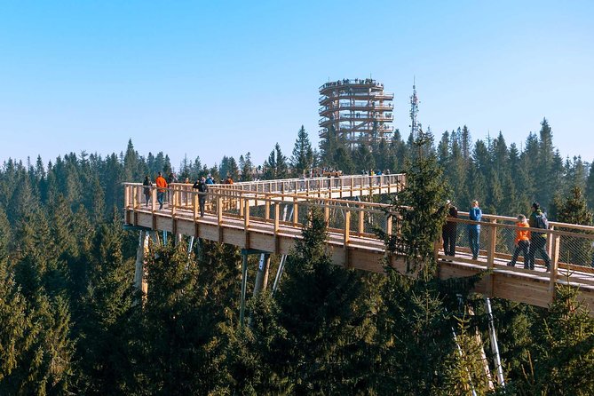 From Kraków: Slovakia Treetop Walk Bachledka and Zakopane - Who will enjoy this day most