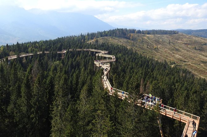 From Kraków: Slovakia Treetop Walk Bachledka and Zakopane - The 30 to 40 minute climb to the treetops
