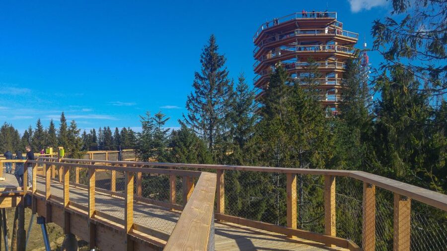 From Krakow: Slovakia Treetop Walk, Zakopane & Thermal Spa - Walking above the forest at Bachledka