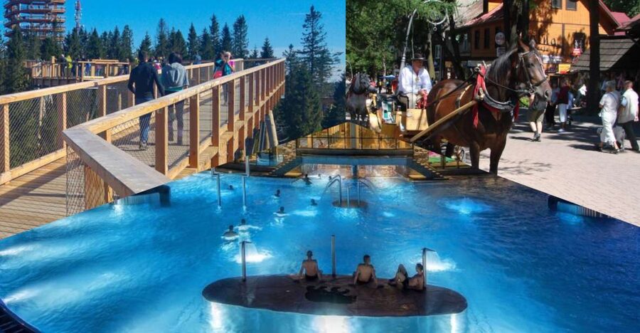 From Krakow: Slovakia Treetop Walk, Zakopane & Thermal Spa - Who will enjoy this day most