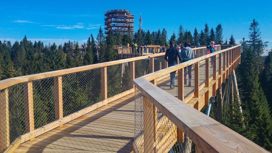 From Krakow: Slovakia Treetop Walk, Zakopane & Thermal Spa - Booking details worth knowing