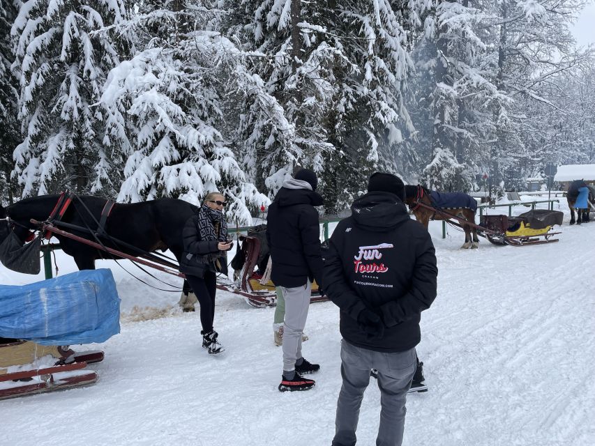 From Krakow: Snowmobile, Zakopane & Chochołowskie Baths - What the $158 price really buys you