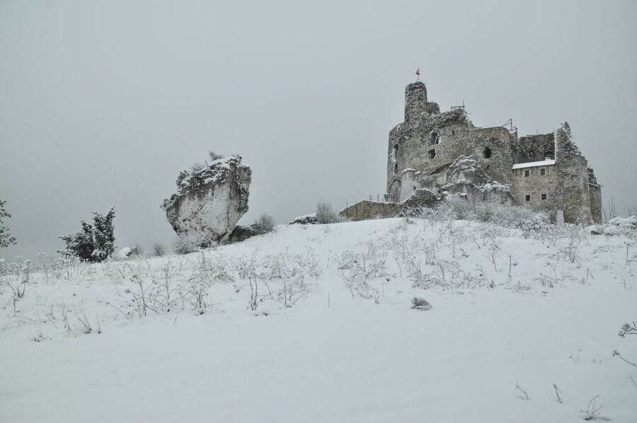 From Krakow: Trail of the Eagles’ Nests Day Tour - The guide matters more than the minibus