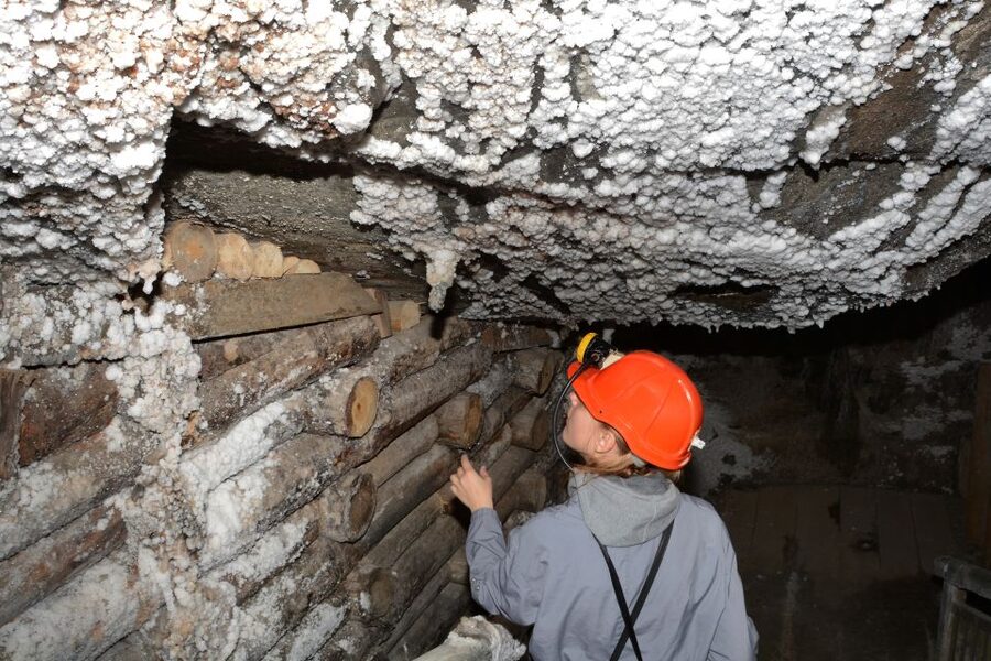 From Krakow: Wieliczka Salt Mine Half-Day Guided Tour - Who should book this tour?