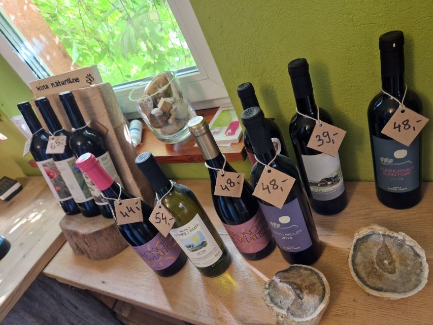 From Krakow: Wine Tasting at Vineyard - A vineyard break only 10 kilometers from Krakow