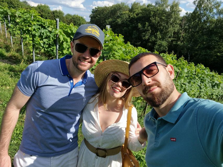 From Krakow: Wine Tasting at Vineyard - Walking among the vines and organic plants