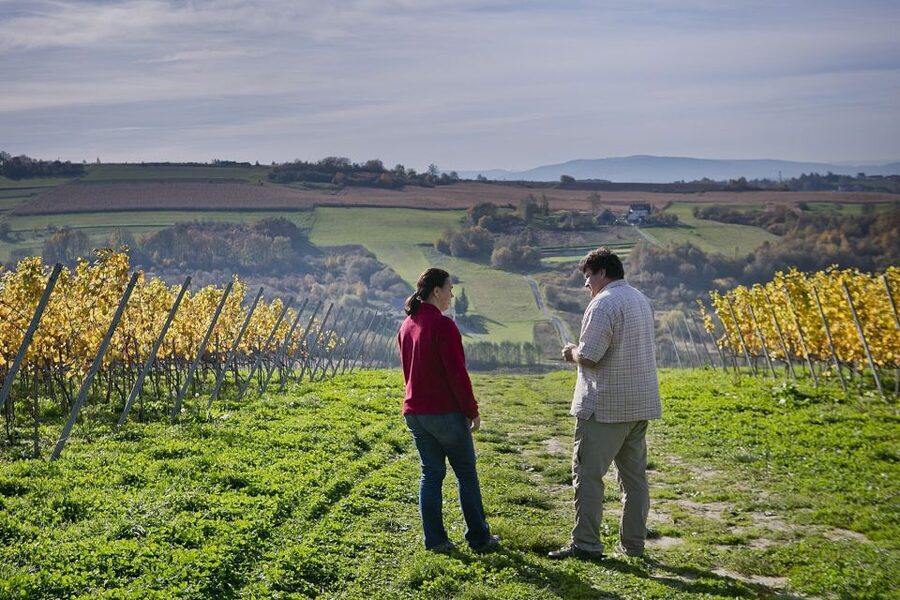 From Krakow: Wine Tasting at Vineyard - Pickup, language, and the May 2023 warning