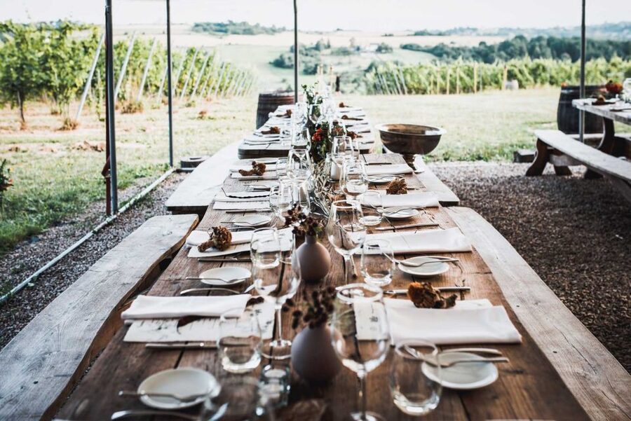 From Krakow: Wine Tasting at Vineyard - Who will enjoy this vineyard visit?