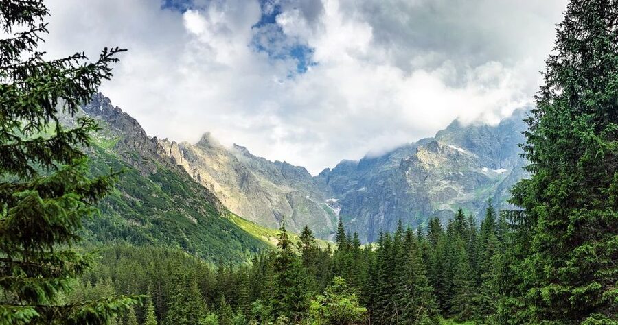 From Krakow: Zakopane and Dunajec River Rafting Tour - Rafting through the Pieniny Gorge