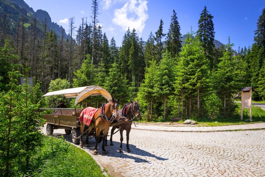 From Krakow: Zakopane and Gubałówka Cable Car Private Tour - Why this private day trip works