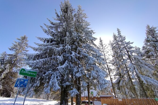 From Krakow: Zakopane & Chocholowskie Thermal Baths - Chocholow and its wooden homes