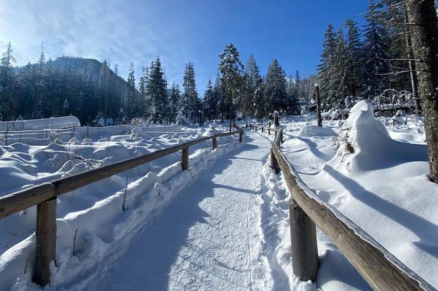 From Krakow: Zakopane Day Trip with Funicular & Food Tasting - Who will enjoy this Zakopane day trip?