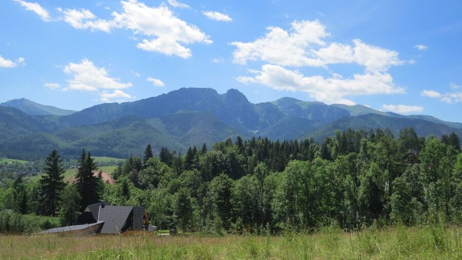 From Krakow: Zakopane Full-Day Tour with Lunch Option - Ski jumps and the mountain resort setting