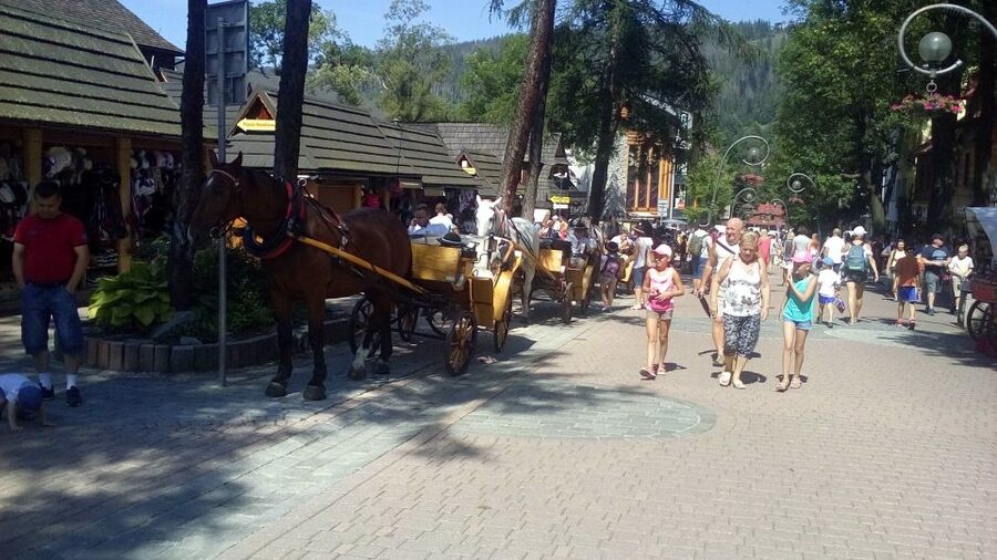 From Krakow: Zakopane & Hot Thermal Springs Private Tour - Two hours in Zakopane