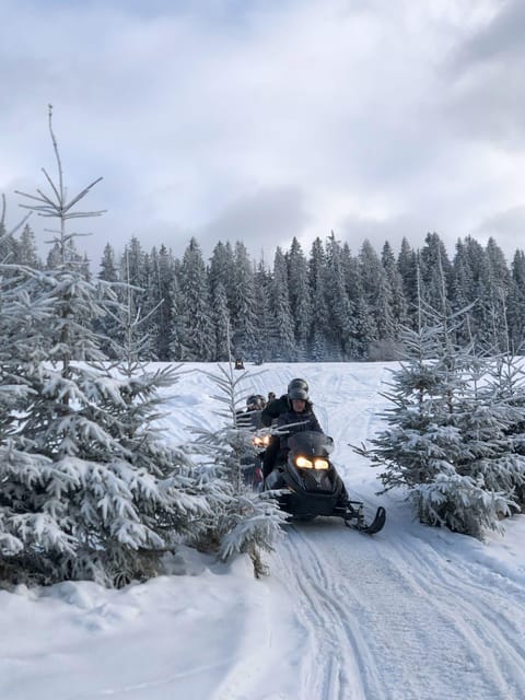 From Krakow: Zakopane Snowmobile NIGHT Ride, Bonfire, - The guides and the pace of the day
